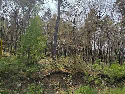 Lot 2 Nathan Croft Road, Camperdown, NS 