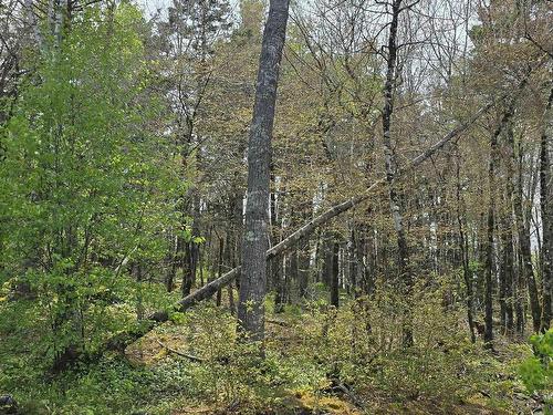 Lot 2 Nathan Croft Road, Camperdown, NS 