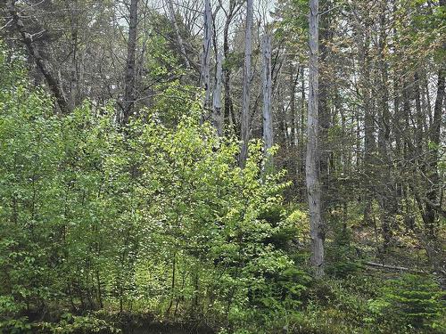 Lot 2 Nathan Croft Road, Camperdown, NS 