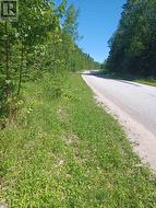 382309 CONCESSION 17  Georgian Bluffs, ON N0H 2T0