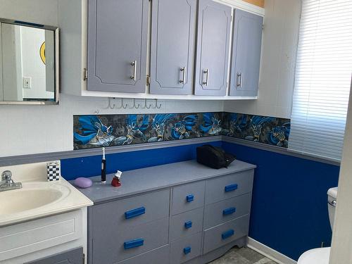 Bathroom - 8555Z  - 8565Z Boul. Du Parc-Industriel, Bécancour, QC - Indoor Photo Showing Bathroom