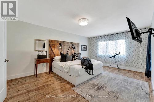 53 Woodbine Crescent, Hamilton, ON - Indoor Photo Showing Bedroom