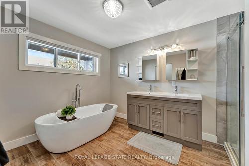 53 Woodbine Crescent, Hamilton, ON - Indoor Photo Showing Bathroom