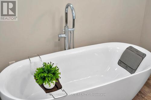 53 Woodbine Crescent, Hamilton, ON - Indoor Photo Showing Bathroom