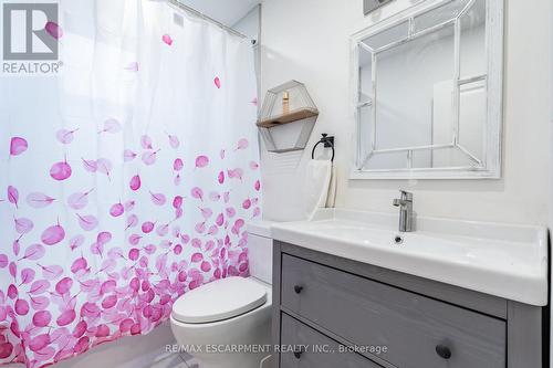 219 Rodgers Road, Hamilton, ON - Indoor Photo Showing Bathroom