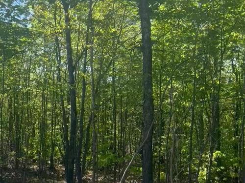 ExtÃ©rieur - Rue Du Merle, Gore, QC 