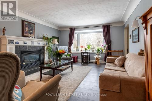 539 Mohawk Road W, Hamilton, ON - Indoor Photo Showing Living Room With Fireplace