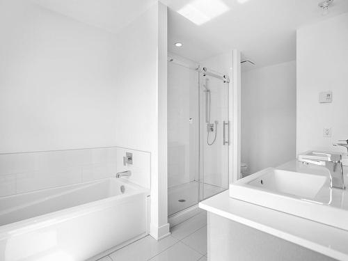 Ensuite bathroom - 7654Z Rue Bouvier, Montréal (Lasalle), QC 