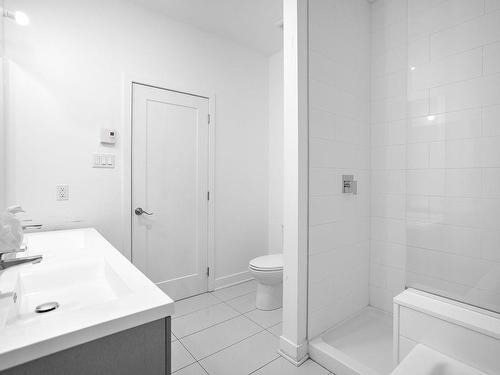 Ensuite bathroom - 7654Z Rue Bouvier, Montréal (Lasalle), QC 