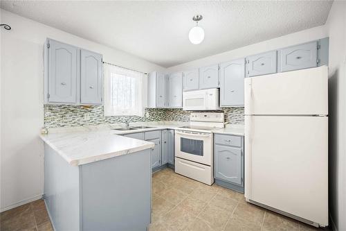 113 Kinver Avenue, Winnipeg, MB - Indoor Photo Showing Kitchen With Double Sink