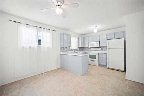 113 Kinver Avenue, Winnipeg, MB - Indoor Photo Showing Kitchen