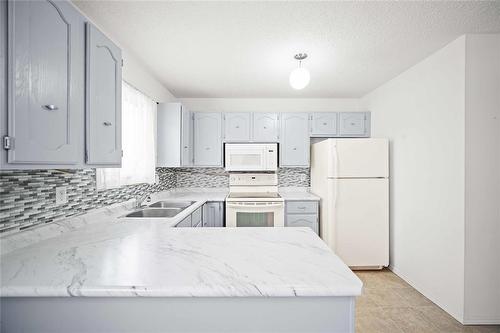 113 Kinver Avenue, Winnipeg, MB - Indoor Photo Showing Kitchen With Double Sink