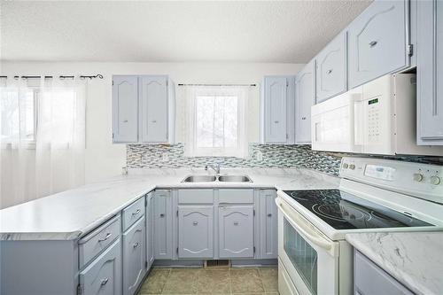 113 Kinver Avenue, Winnipeg, MB - Indoor Photo Showing Kitchen With Double Sink