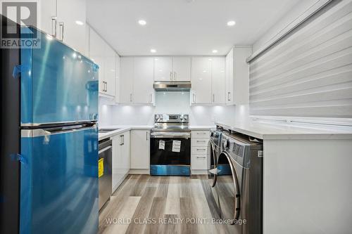 396 Hudson Drive, London, ON - Indoor Photo Showing Kitchen