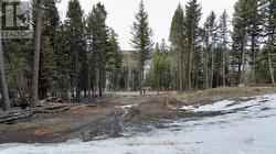 4969 SCOTT ROAD  108 Mile Ranch, BC V0K 2Z0