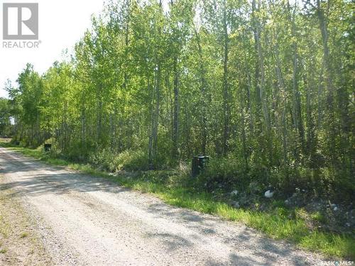 1 Smits Avenue, Nipawin Rm No. 487, SK 