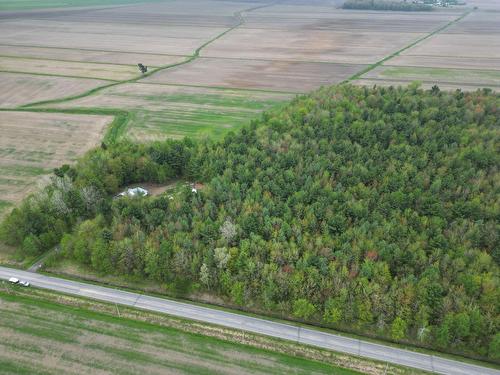 Vue d'ensemble - 495 Rg Ste-Cécile, Saint-David, QC - Outdoor With View