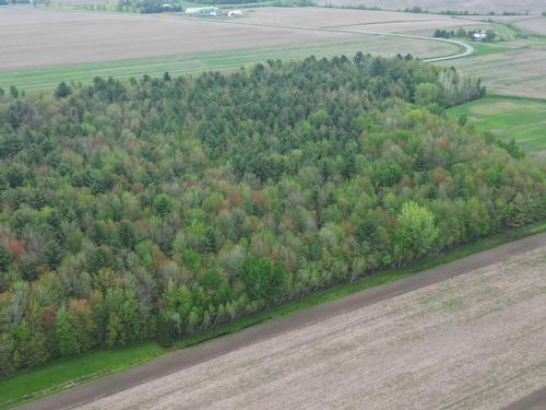 Vue d'ensemble - 495 Rg Ste-Cécile, Saint-David, QC - Outdoor With View