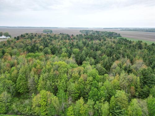 Vue d'ensemble - 495 Rg Ste-Cécile, Saint-David, QC - Outdoor With View
