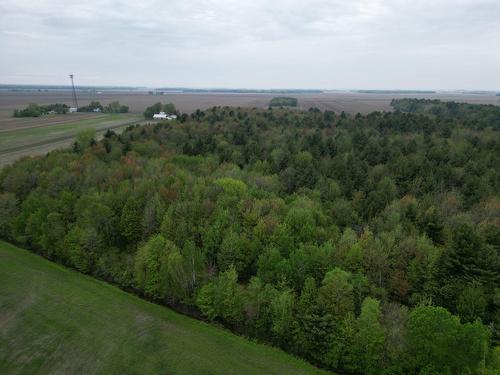 Vue d'ensemble - 495 Rg Ste-Cécile, Saint-David, QC - Outdoor With View