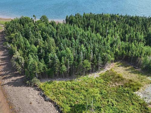 Lot 6 Walkerville Road, Walkerville, NS 