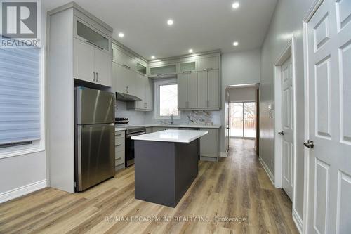 195 Picton Street E, Hamilton, ON - Indoor Photo Showing Kitchen With Upgraded Kitchen