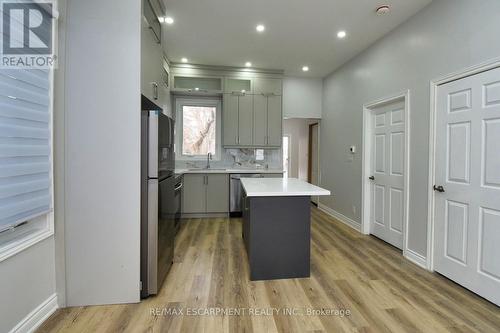 195 Picton Street E, Hamilton, ON - Indoor Photo Showing Kitchen