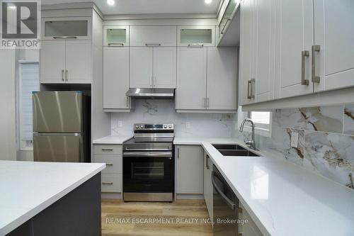 195 Picton Street E, Hamilton, ON - Indoor Photo Showing Kitchen With Double Sink