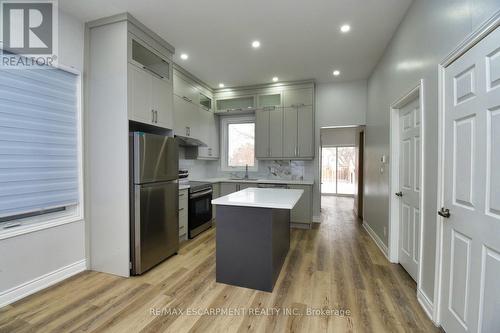 195 Picton Street E, Hamilton, ON - Indoor Photo Showing Kitchen With Upgraded Kitchen