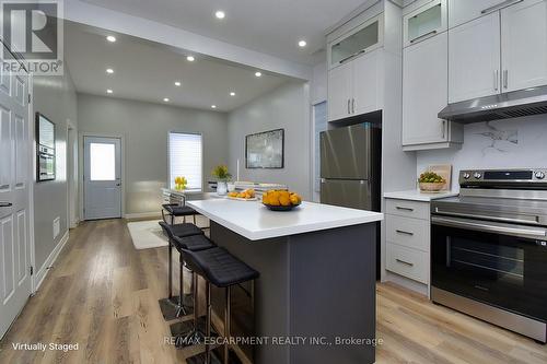 195 Picton Street E, Hamilton, ON - Indoor Photo Showing Kitchen With Upgraded Kitchen