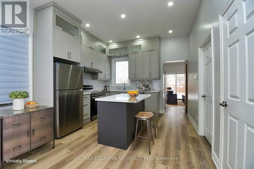 195 Picton Street E, Hamilton, ON - Indoor Photo Showing Kitchen With Upgraded Kitchen