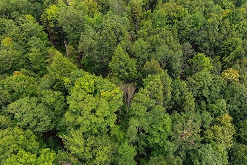 Aerial photo - Ch. Élie, Sutton, QC 