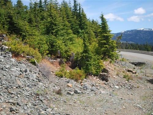 720 Arrowsmith Ridge, Courtenay, BC 