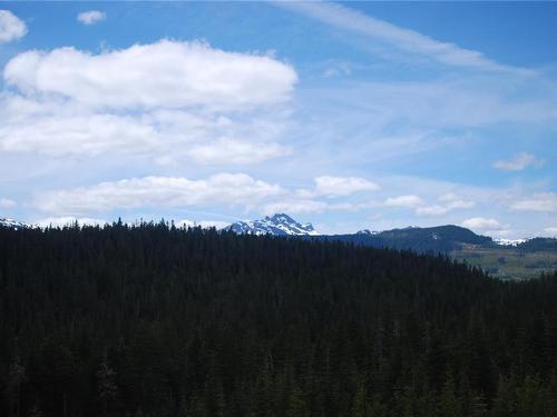 720 Arrowsmith Ridge, Courtenay, BC 