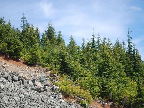 720 Arrowsmith Ridge, Courtenay, BC 