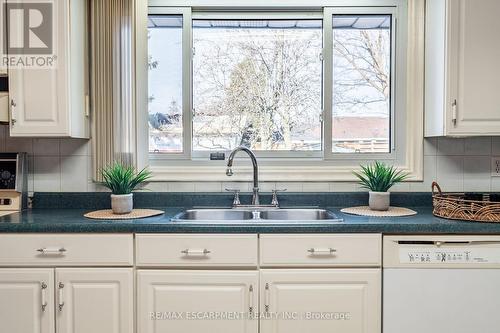 9 Laurier Avenue, Hamilton, ON - Indoor Photo Showing Kitchen With Double Sink