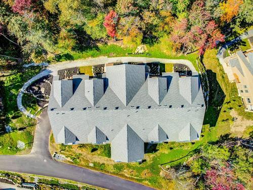 Vue d'ensemble - 102-3010 Allée Du Valais, Mont-Tremblant, QC 