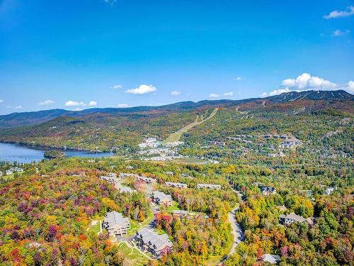 Vue d'ensemble - 102-3010 Allée Du Valais, Mont-Tremblant, QC 