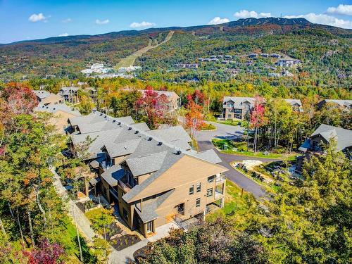 Vue d'ensemble - 102-3010 Allée Du Valais, Mont-Tremblant, QC 