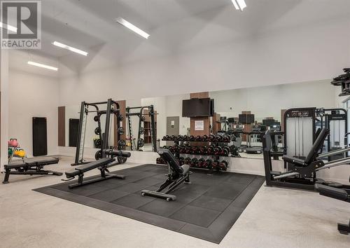 Main floor gym - 330, 88 9 Street Ne, Calgary, AB - Indoor Photo Showing Gym Room