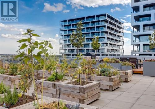 Rooftop garden - 330, 88 9 Street Ne, Calgary, AB - Outdoor With Balcony With Facade