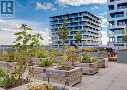 Rooftop garden - 