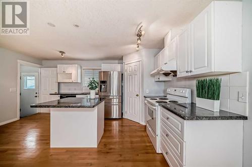 1059 Abbeydale Drive Ne, Calgary, AB - Indoor Photo Showing Kitchen With Double Sink