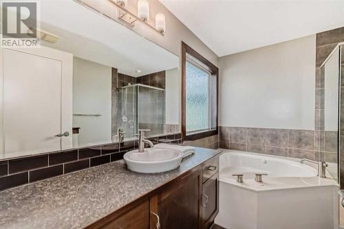 181 Everoak Circle Sw, Calgary, AB - Indoor Photo Showing Bathroom