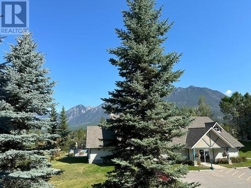 4767 Forsters Landing Road Unit# 210, Radium Hot Springs, BC - Outdoor