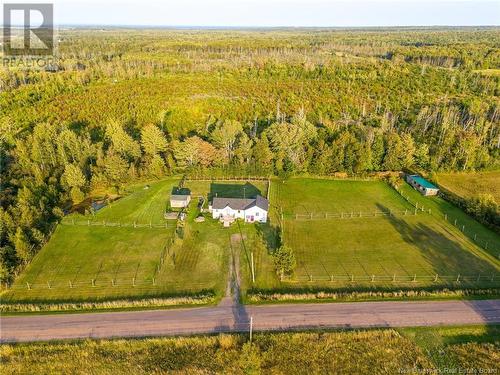 38 Trenholm Road, Murray Corner, NB - Outdoor With View