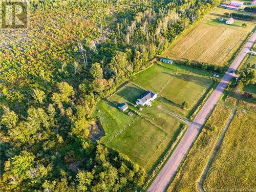 38 Trenholm Road, Murray Corner, NB - Outdoor With View