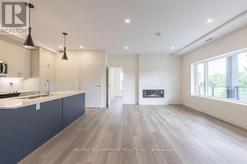 303 - 119 Lincoln Street, Welland, ON - Indoor Photo Showing Kitchen With Fireplace With Double Sink