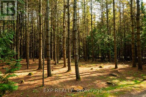 426155 25Th Sideroad, Mono, ON - Outdoor With View