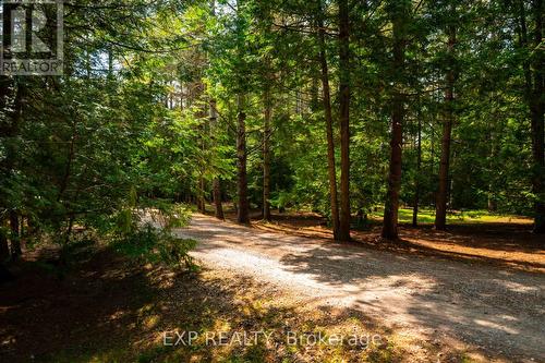 426155 25Th Sideroad, Mono, ON - Outdoor With View